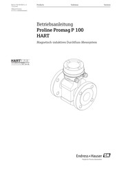 Endress+Hauser Proline Promag P 100 HART Betriebsanleitung