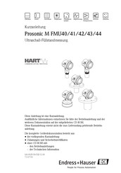 Endress+Hauser Prosonic M FMU41 Kurzanleitung