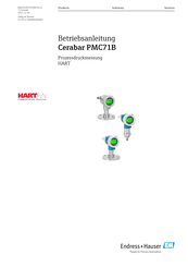 Endress+Hauser Cerabar PMC71B Betriebsanleitung