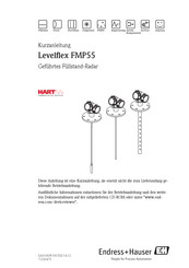 Endress+Hauser Levelflex FMP55 Kurzanleitung