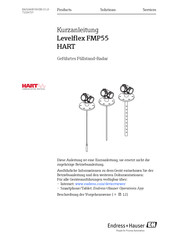 Endress+Hauser Levelflex FMP55 Kurzanleitung