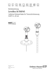 Endress+Hauser Levelflex M FMP45 Betriebsanleitung