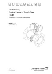 Endress+Hauser Proline Prosonic Flow B 200 HART Betriebsanleitung