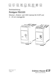 Endress+Hauser Fieldgate FXA520 Betriebsanleitung