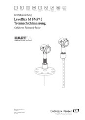 Endress+Hauser Levelflex M FMP45 Betriebsanleitung