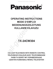 Panasonic TX-24CW304 Bedienungsanleitung