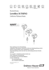 Endress+Hauser Levelflex M FMP43 Kurzanleitung