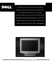 Dell UltraScan P1690 Kurzinstallation
