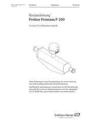 Endress+Hauser Proline Promag P 100 Kurzanleitung