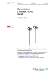 Endress+Hauser Levelflex FMP50 Kurzanleitung