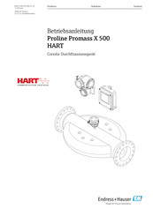 Endress+Hauser Proline Promass X 500 HART Betriebsanleitung