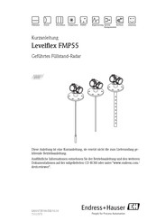 Endress+Hauser Levelflex FMP55 Kurzanleitung
