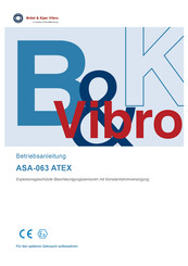 Brüel & Kjær Vibro ASA-063 Betriebsanleitung