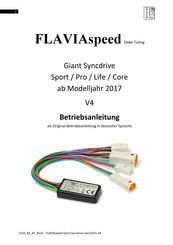 FLAVIA speed Giant Syncdrive Betriebsanleitung