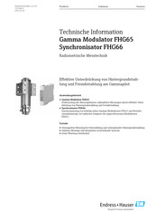 Endress+Hauser FHG65 Technische Information