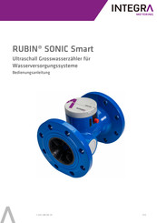 INTEGRA Metering RUBIN SONIC Smart Bedienungsanleitung