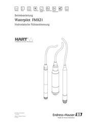 Endress+Hauser Waterpilot FMX21 Betriebsanleitung