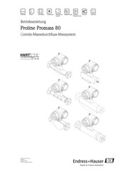 Endress+Hauser Proline Promass 80 Betriebsanleitung