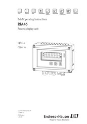 Endress+Hauser RIA46 Bedienungsanleitung