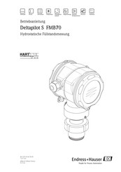 Endress+Hauser Deltapilot S FMB70 Betriebsanleitung