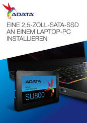 Adata SU800 Installieren
