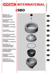 HYDAC International SBO500 Montage- Und Reparaturanweisung