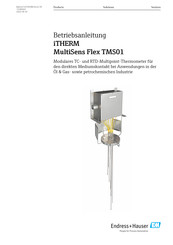 Endress+Hauser iTHERM MultiSens Flex TMS01 Betriebsanleitung
