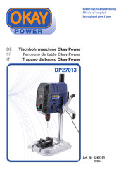 Okay Power DP27013 Gebrauchsanweisung