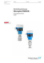 Endress+Hauser Micropilot FMR63B Betriebsanleitung