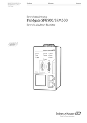 Endress+Hauser Fieldgate SFG500 Betriebsanleitung