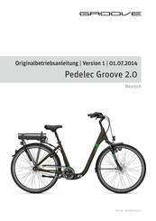 Derby Cycle Pedelec Groove 2.0 2014 Originalbetriebsanleitung