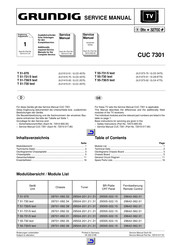 Grundig T55-730 text Serviceanleitung