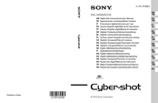 Sony cybershot DSC-S2000 Gebrauchsanleitung