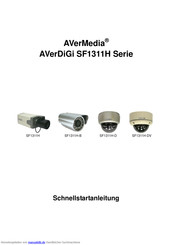 Avermedia SF1311H-DV Schnellstartanleitung