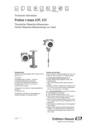 Endress+Hauser Proline t-mass 65F Technische Information