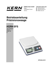 KERN EFS 500-2 Betriebsanleitung