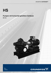 Grundfos HS 300-250-381 Datenheft
