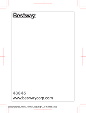 Bestway 43645 Bedienungsanleitung
