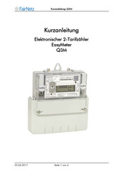 easyMeter Q3M Kurzanleitung