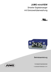 JUMO miroVIEW Betriebsanleitung