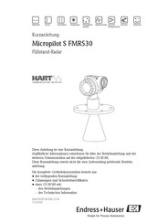 Endress+Hauser Micropilot S FMR530 Kurzanleitung