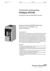 Endress+Hauser SFG500 Technische Information