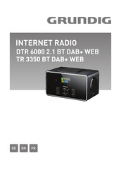 Grundig DTR 6000 2.1 BT DAB+ WEB Bedienungsanleitung