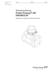 Endress+Hauser Proline Promag P 100 Betriebsanleitung
