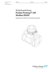 Endress+Hauser Proline Promag P 100 Betriebsanleitung