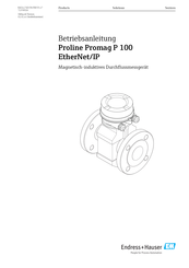 Endress+Hauser Proline Promag P 100 Betriebsanleitung