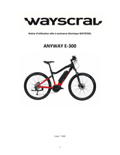 Wayscral ANYWAY E-300 Bedienungsanleitung