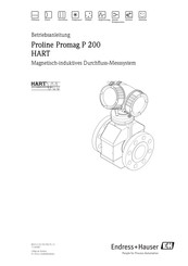 Endress+Hauser Proline Promag P 200 Betriebsanleitung