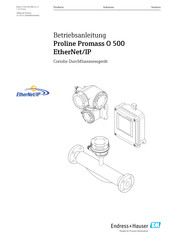 Endress+Hauser Proline Promass O 500 Betriebsanleitung