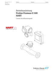 Endress+Hauser Proline Promass O 500 Betriebsanleitung